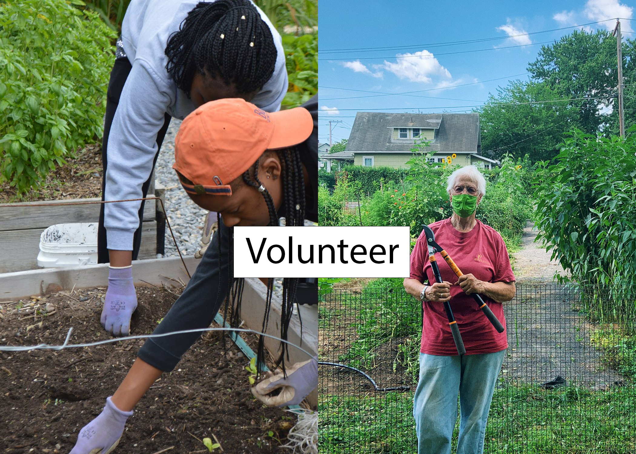 Images of people planting seeds and holding pruning shears. Labeled "Volunteer"