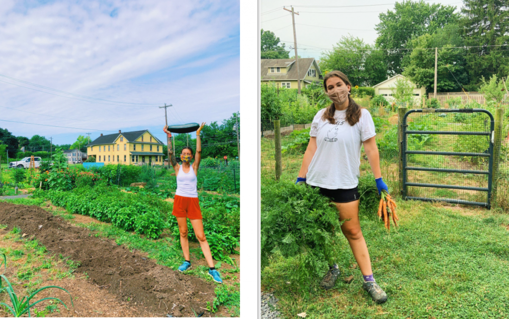 Two side by side images each of a previous Americorps member. One is standing in the garden behind a newly cleared bed, lifting a zucchini above her head. The other, pictured on the right, stands in front of the gate holding carrots in one hand and carrot tops in the other.
